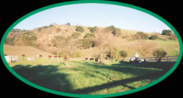 Green Acre Ranch