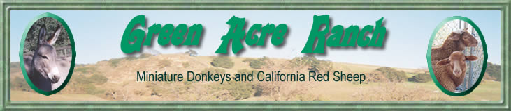 Green Acre Ranch