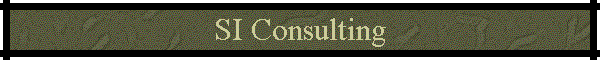 SI Consulting